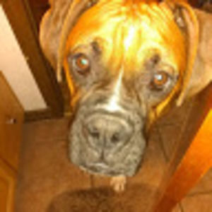 Meet your Posher, Gage